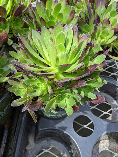 Home Improvement Store «The Home Depot», reviews and photos, 1100 Tharp Rd, Yuba City, CA 95993, USA