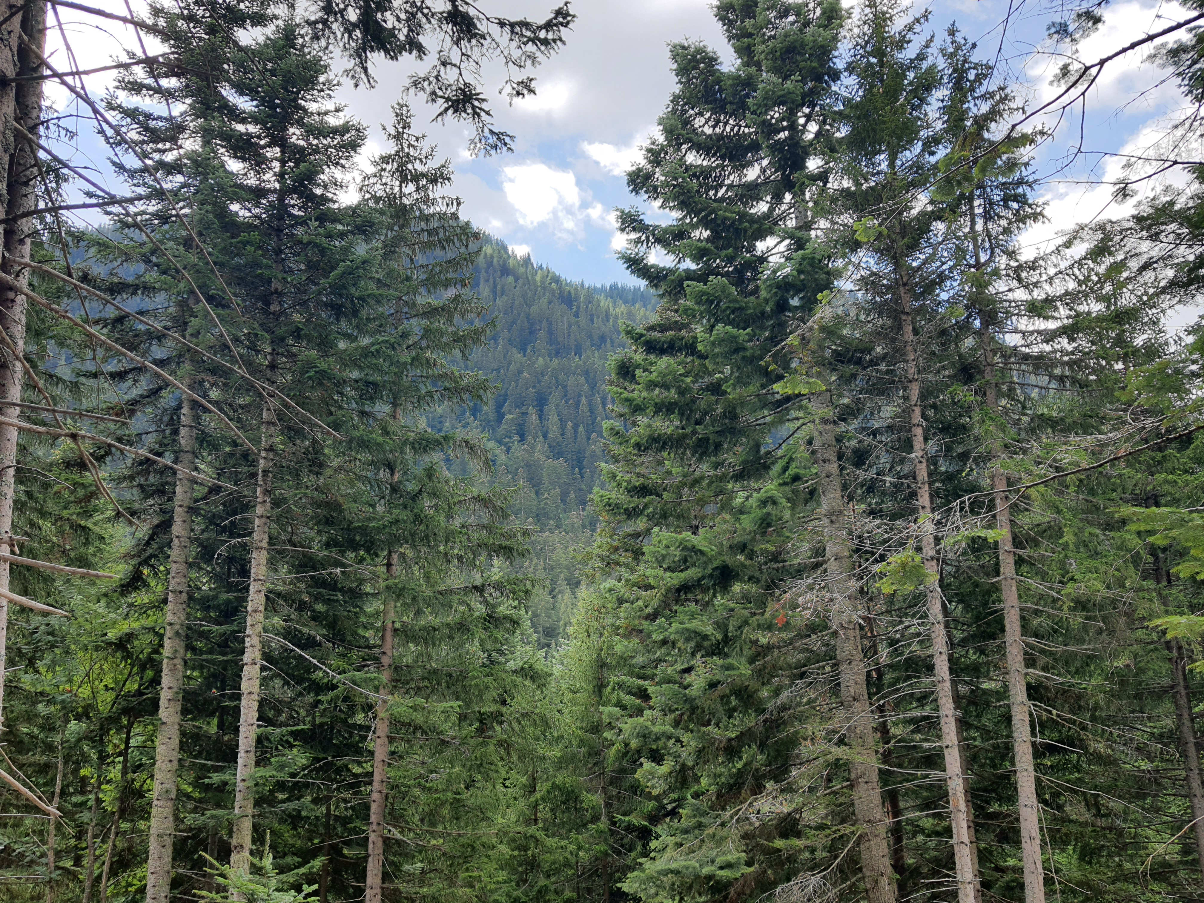 Photo n° 3 de l'avis de Anne.u fait le 25/08/2022 à 08:51