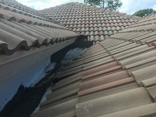 Roofing Contractor «Andy the Roofer And Co», reviews and photos, 1791 SE Mariana Rd, Port St Lucie, FL 34952, USA