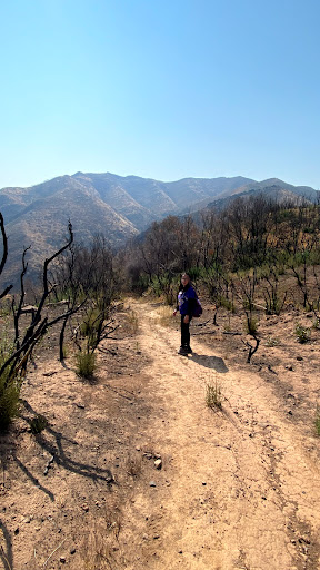 Nature Preserve «UC Davis - Stebbins Cold Canyon Natural Reserve», reviews and photos, CA-128, Winters, CA 95694, USA