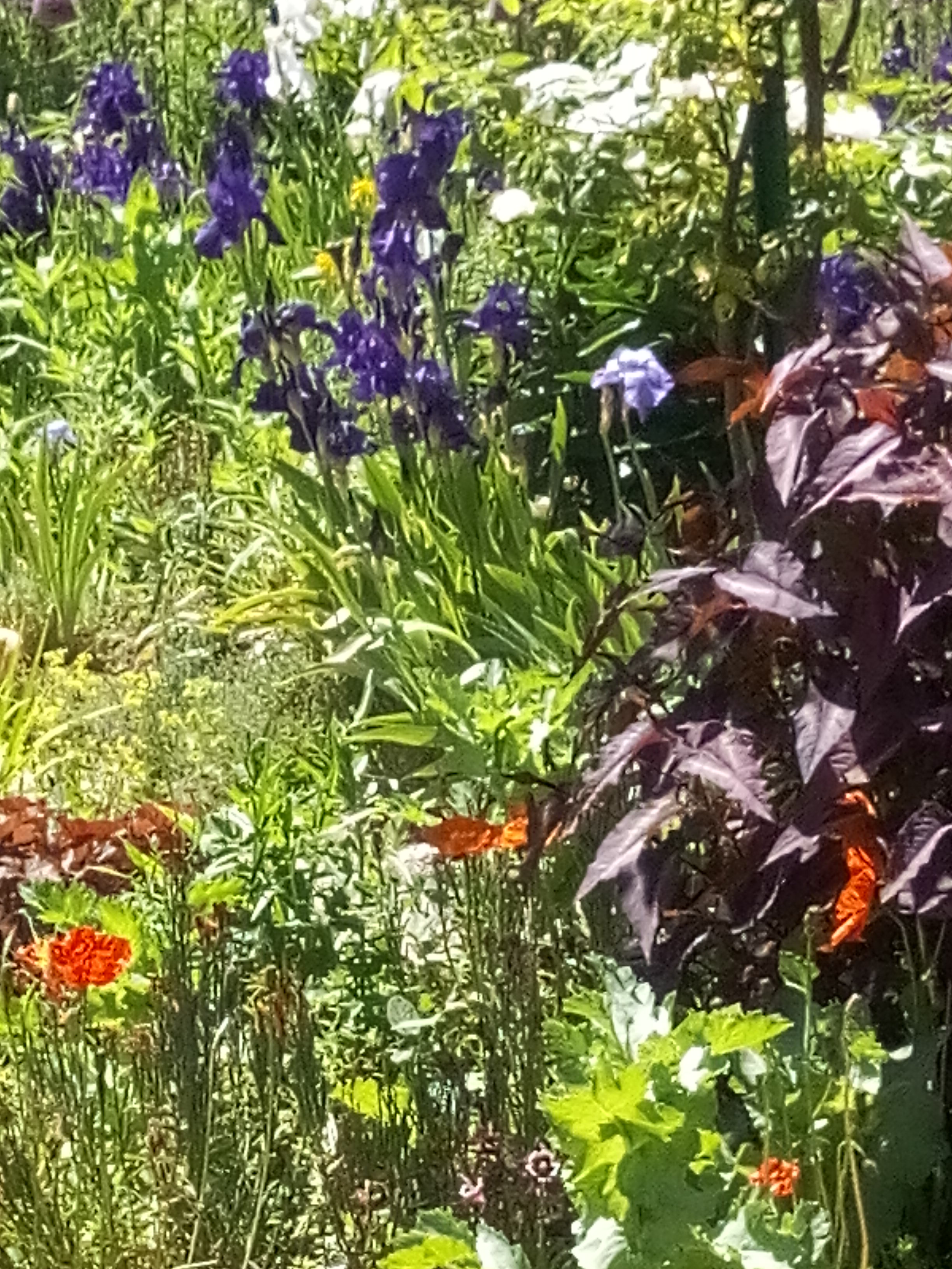 Photo n° 5 de l'avis de M. fait le 02/06/2019 à 08:14