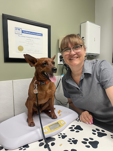 Leaside Animal Clinic
