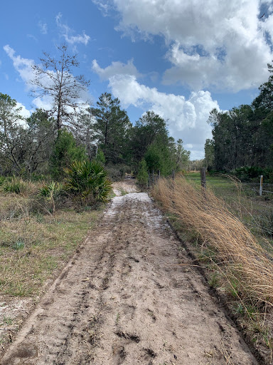 Nature Preserve «Rye Preserve», reviews and photos, 905 Rye Wilderness Trail, Parrish, FL 34219, USA