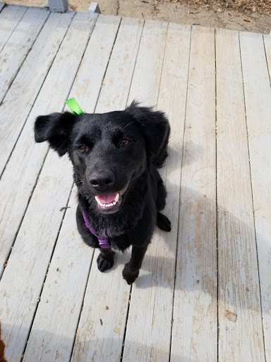 Pet Supply Store «PetSmart», reviews and photos, 5 Hampton House Rd, Newton, NJ 07860, USA