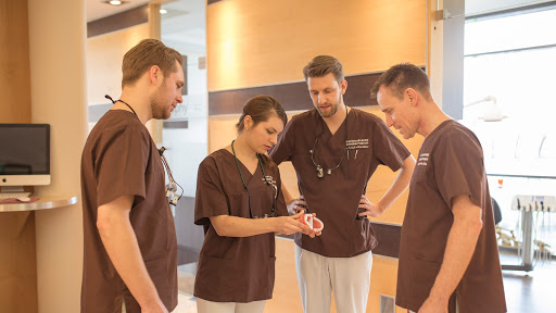 Dentistry courses Hannover