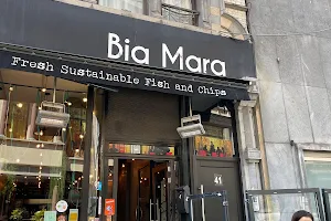 Bia Mara image