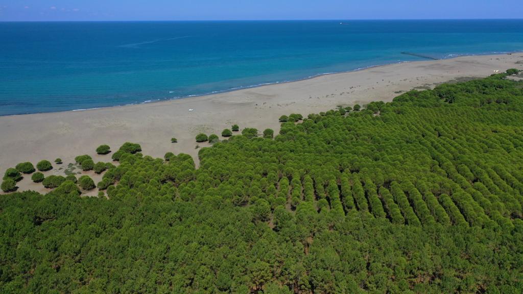 Foto de Hurriyet Sahili com areia cinza superfície