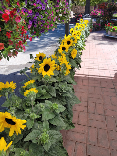 Plant Nursery «Orchard Nursery and Florist», reviews and photos, 4010 Mt Diablo Blvd, Lafayette, CA 94549, USA