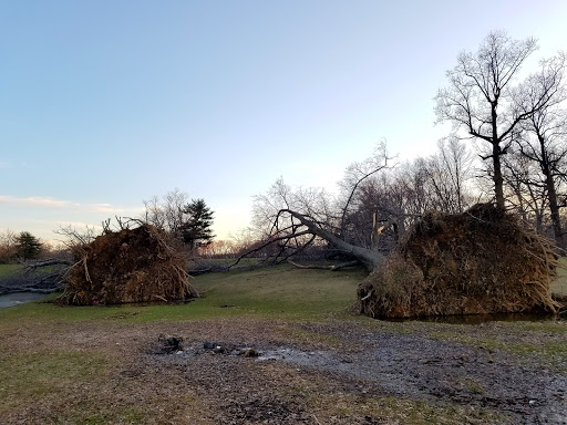 Public Golf Course «Clearview Park Golf Course», reviews and photos, 202-12 Willets Point Blvd, Queens, NY 11360, USA