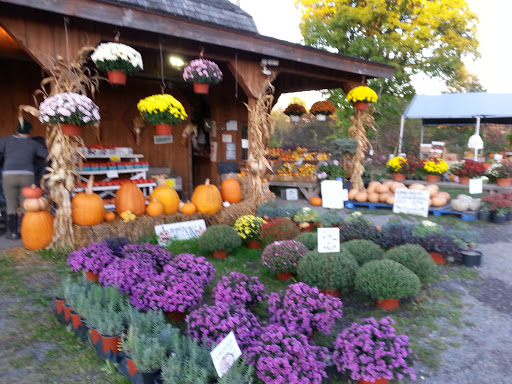 Produce Market «The Bigsby Market», reviews and photos, 1418 Dryden Rd, Freeville, NY 13068, USA