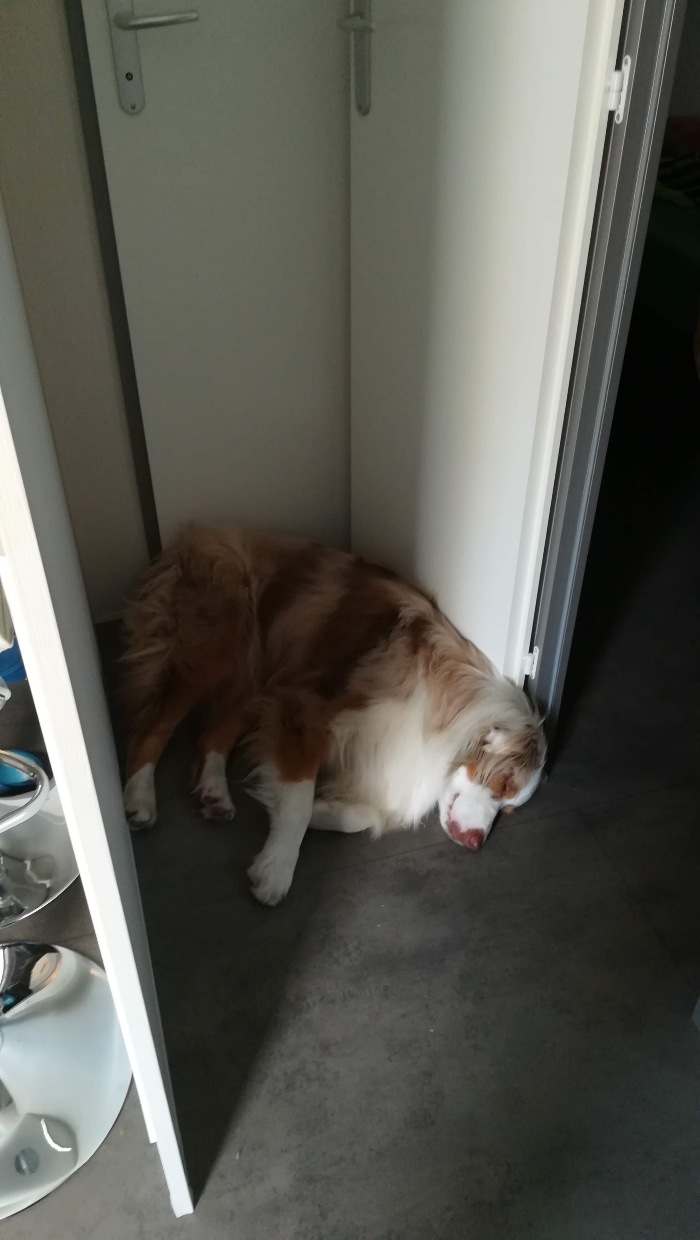 Photo n° 7 de l'avis de Stéphanie.e fait le 09/08/2018 à 05:47