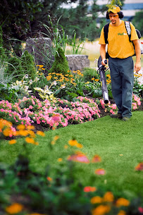 The Grounds Guys of Rockford - Photo 9 - Car repair in , Rockford