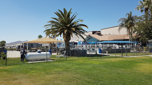 Skydive Perris image