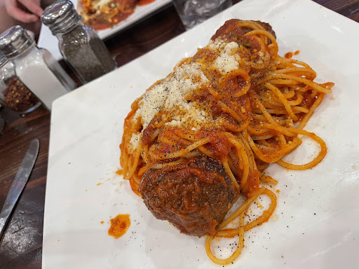 AMICI