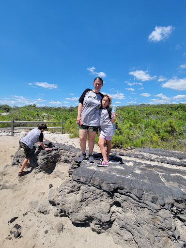 National Park «Assateague Island National Seashore», reviews and photos, 7206 National Seashore Ln, Berlin, MD 21811, USA