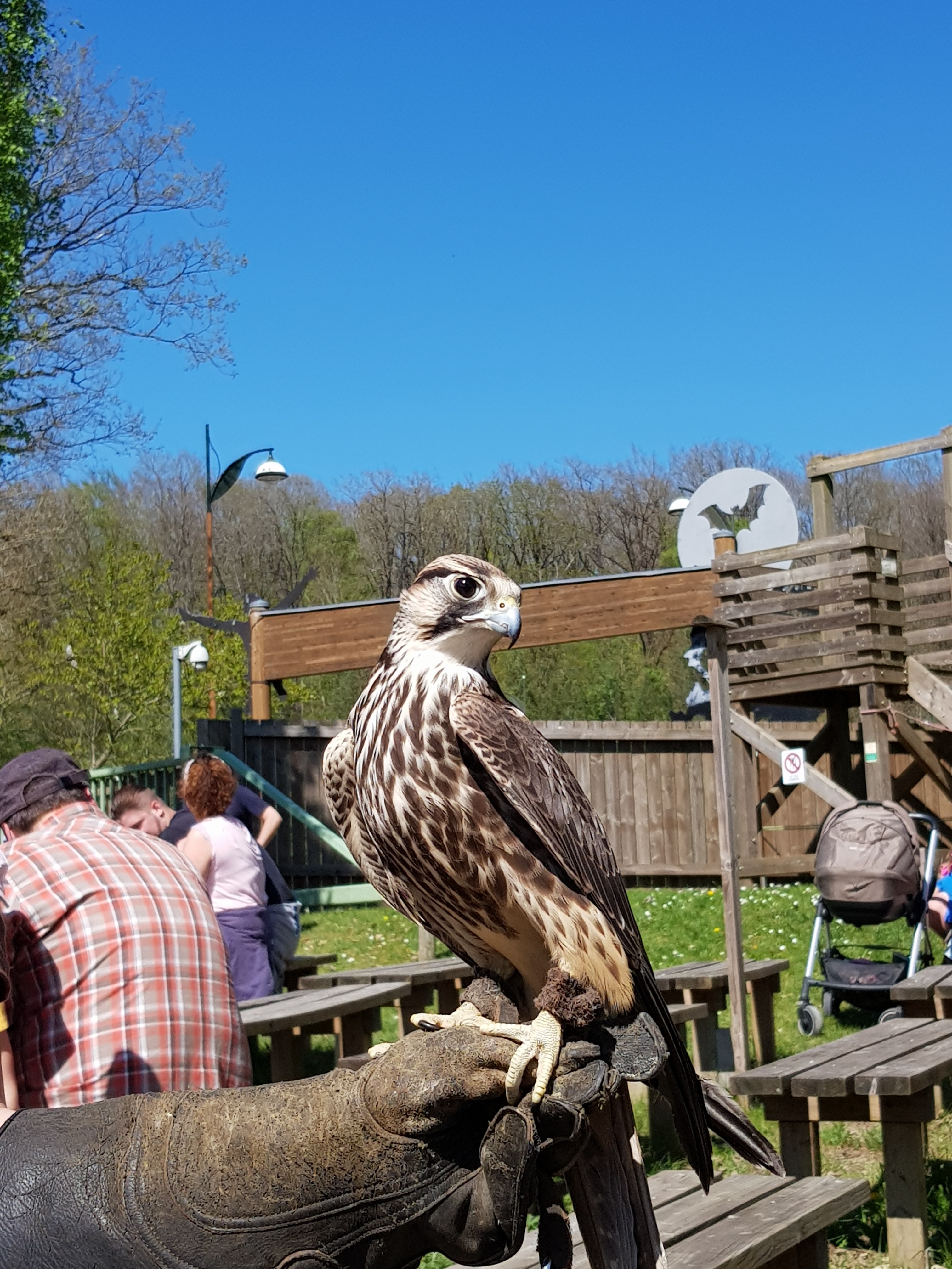 Photo n° 10 de l'avis de Elo.b fait le 09/06/2019 à 12:26