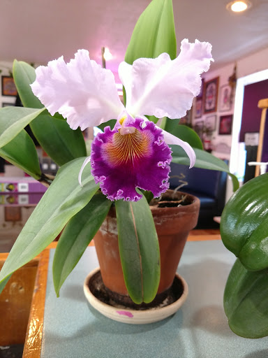 Explore pulp fiction tattoo ideas, creative tattoo ideas in Morristown, available at Ink Dreams Tattoo