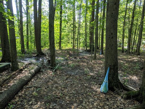 Tourist Attraction «The Great Lakes Medieval Faire», reviews and photos, 3033 OH-534, Rock Creek, OH 44084, USA