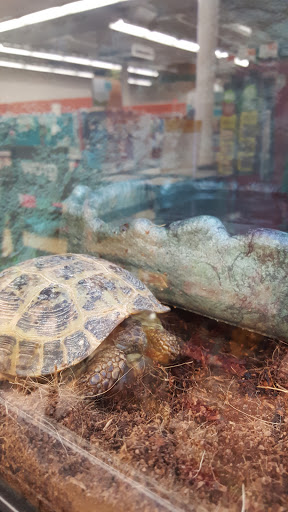 Pet Supply Store «Petco Animal Supplies», reviews and photos, 10 Sylvan St, Peabody, MA 01960, USA