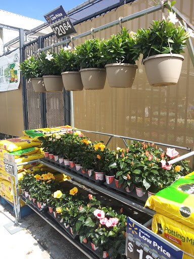 Department Store «Walmart Supercenter», reviews and photos, 3175 Cheney Hwy, Titusville, FL 32780, USA