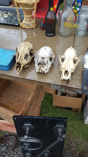 Flea Market «East Avon Flea Market», reviews and photos, 1520 W Henrietta Rd, Avon, NY 14414, USA