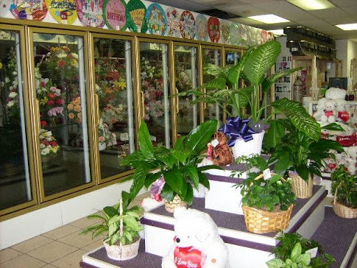 Dried flower shop San Bernardino