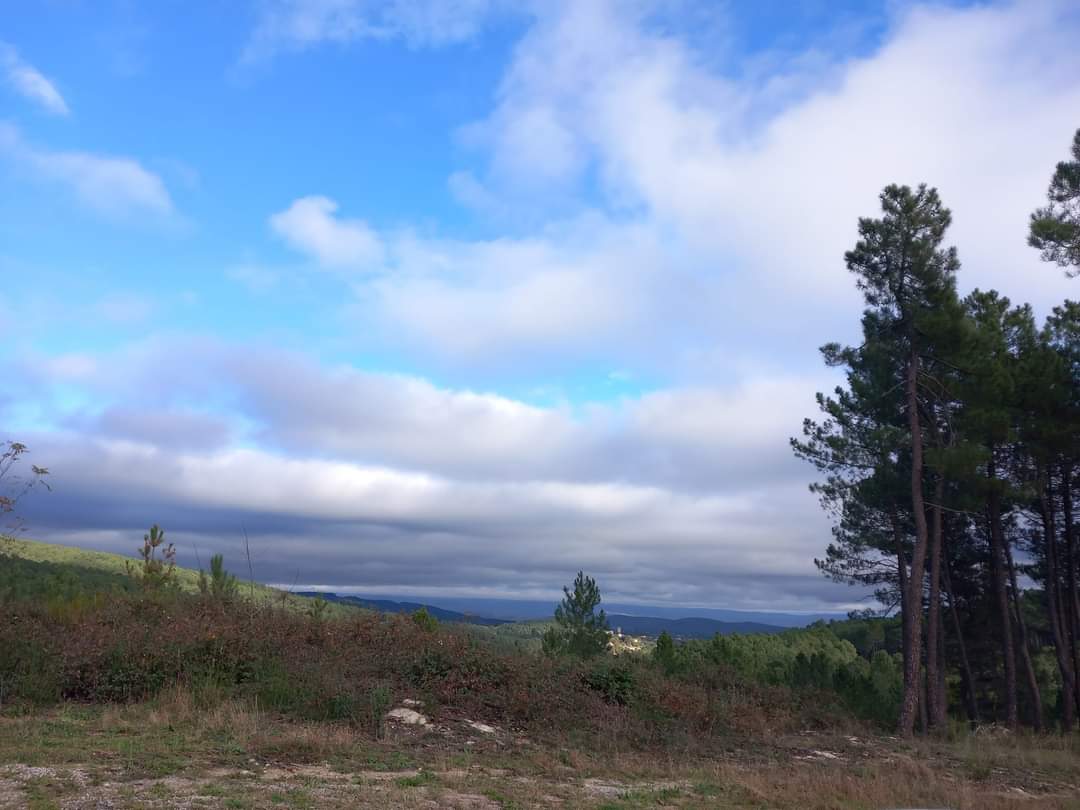 Photo n° 4 de l'avis de doudoune.l fait le 07/12/2022 à 10:55