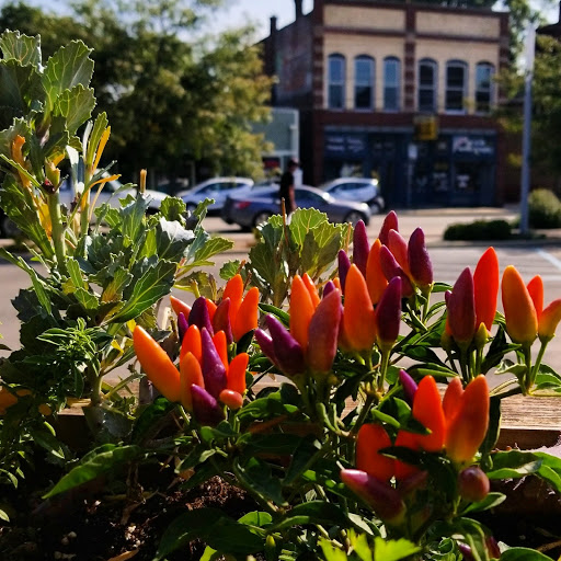 Grocery Store «Wildwood Market», reviews and photos, 1015 Virginia Ave, Indianapolis, IN 46203, USA