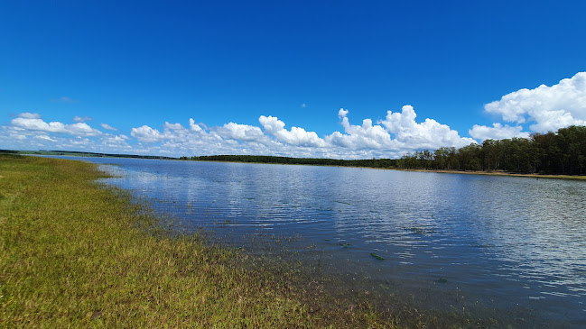 Parque Bartolomé Hidalgo - Colonia