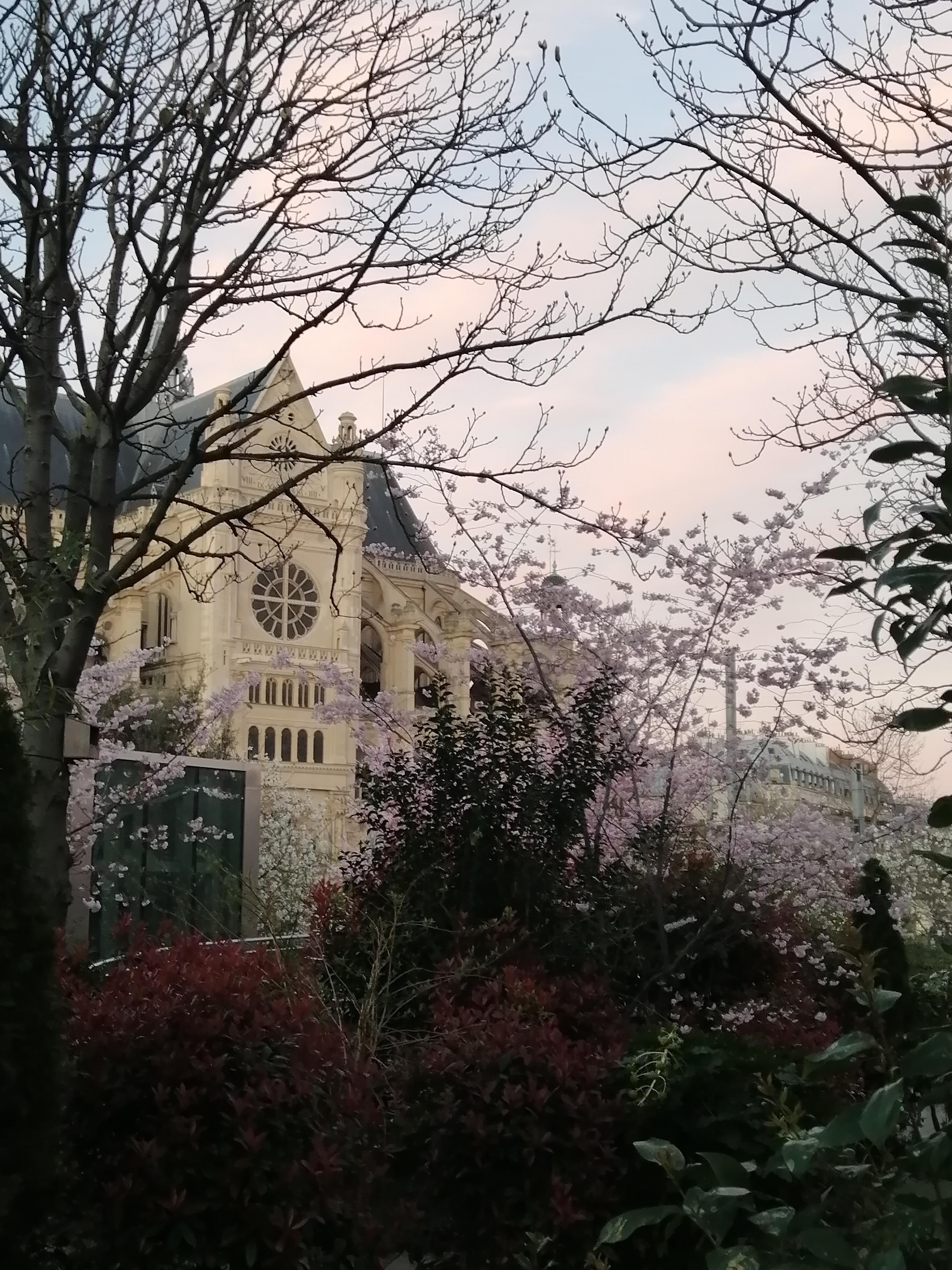 Photo n° 12 de l'avis de Davide.a fait le 17/03/2020 à 09:20