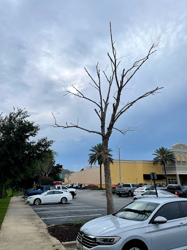 Supermarket «Publix Super Market at Deerwood Lake Commons», reviews and photos, 4320 Deerwood Lake Pkwy, Jacksonville, FL 32216, USA