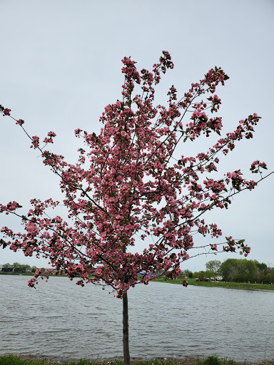 Park «Redmond Park», reviews and photos, 545 John St, Bensenville, IL 60106, USA