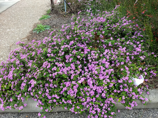 History Museum «Fulton Mansion State Historic Site», reviews and photos, 317 Fulton Beach Rd, Rockport, TX 78382, USA