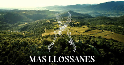 Vignoble du Mas Llossanes à Tarerach