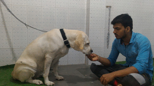 Bhubhu House Pet Care Centre