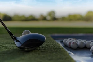 Golf Future image