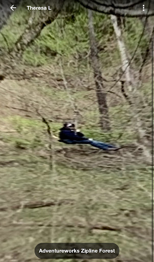 Tourist Attraction «Adventureworks Zipline Forest», reviews and photos, 4129 Whites Creek Pike, Whites Creek, TN 37189, USA