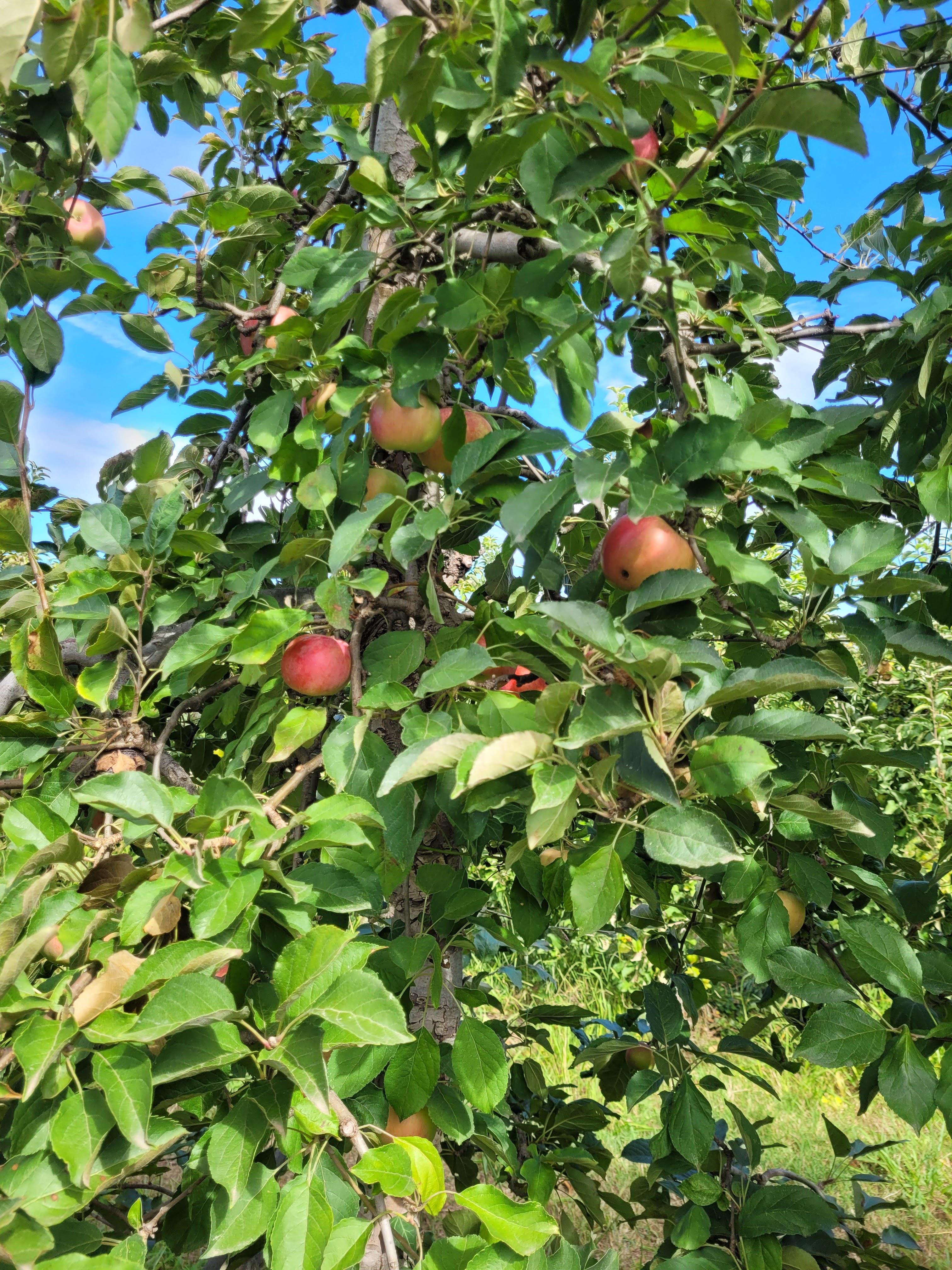 Photo n° 5 de l'avis de Anne.a fait le 04/10/2022 à 16:48
