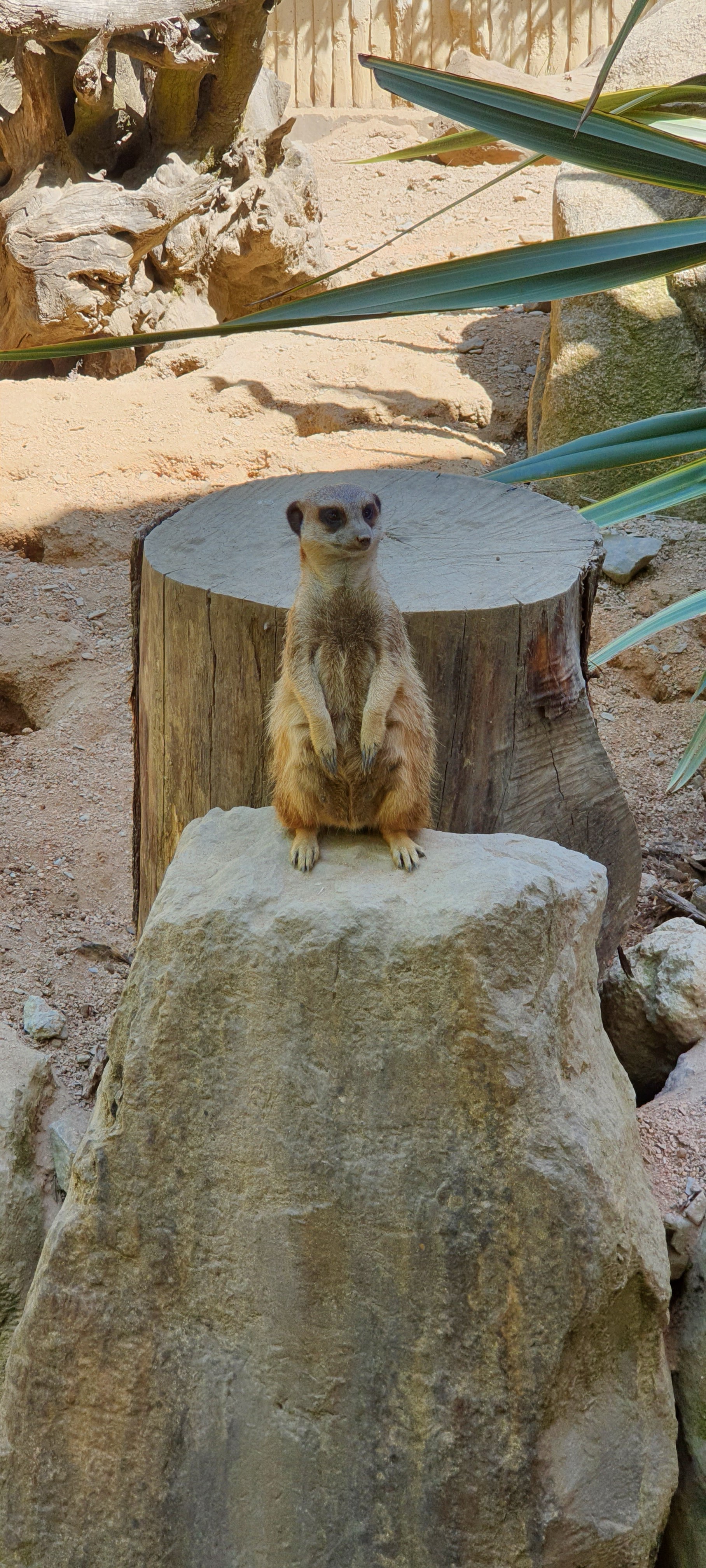 Photo n° 3 de l'avis de Laetitia. fait le 06/05/2023 à 18:10