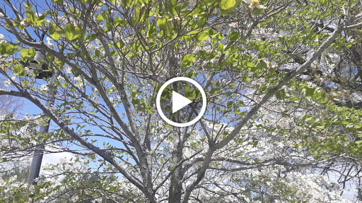 Community College «Asheville-Buncombe Technical Community College», reviews and photos