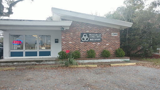 Explore side leg tattoo ideas, creative tattoo ideas in Charleston, available at MOLA Piercing and Fine Jewelry