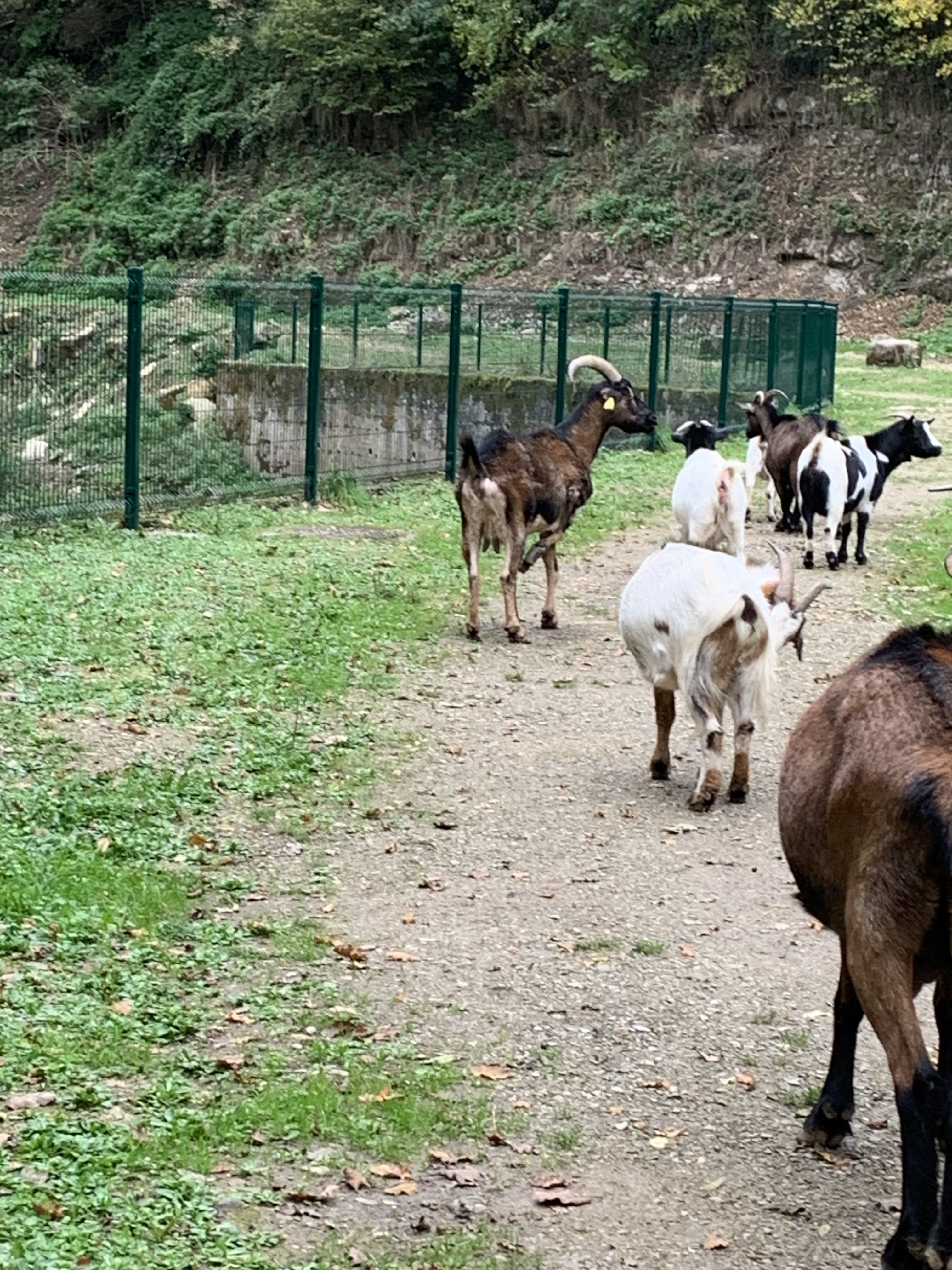 Photo n° 2 de l'avis de La.c fait le 31/10/2023 à 12:26