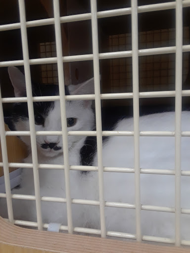 Pet Supply Store «Petco Animal Supplies», reviews and photos, 1500 N Town E Blvd, Mesquite, TX 75150, USA