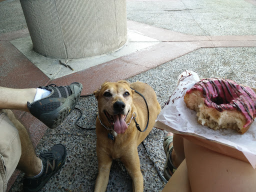 Donut Shop «Vincent Van Doughnut», reviews and photos, 40 N Central Ave, Clayton, MO 63105, USA