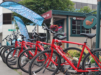 Trek Bike Rentals Anchorage Rental Kiosk