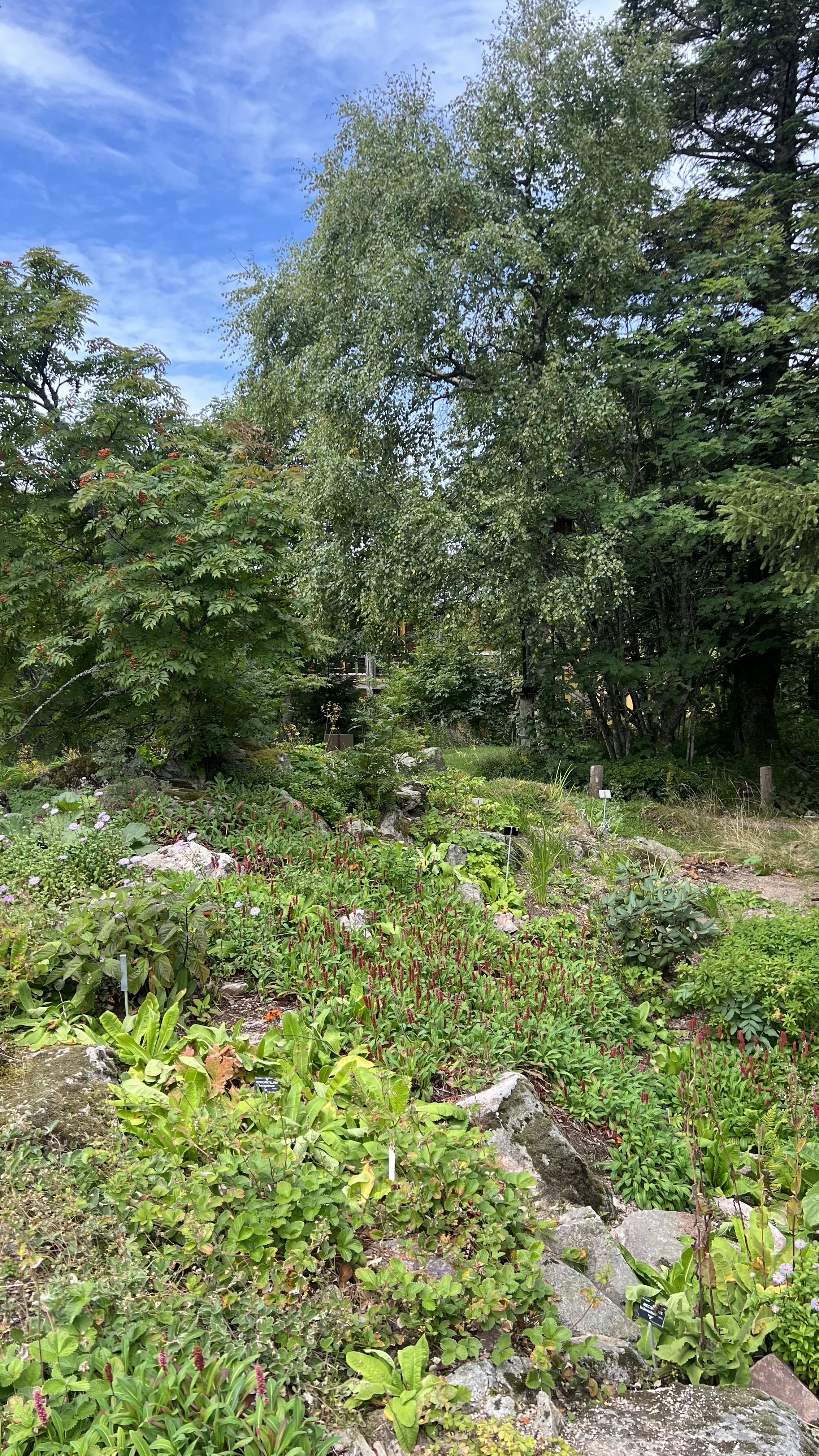 Photo n° 3 de l'avis de My.w fait le 19/08/2023 à 13:41