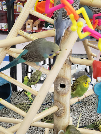 Pet Supply Store «Petco Animal Supplies», reviews and photos, 438 Southbridge St, Auburn, MA 01501, USA