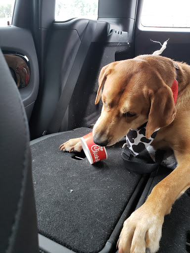 Fast Food Restaurant «Chick-fil-A», reviews and photos, 850 Loganville Hwy, Bethlehem, GA 30620, USA