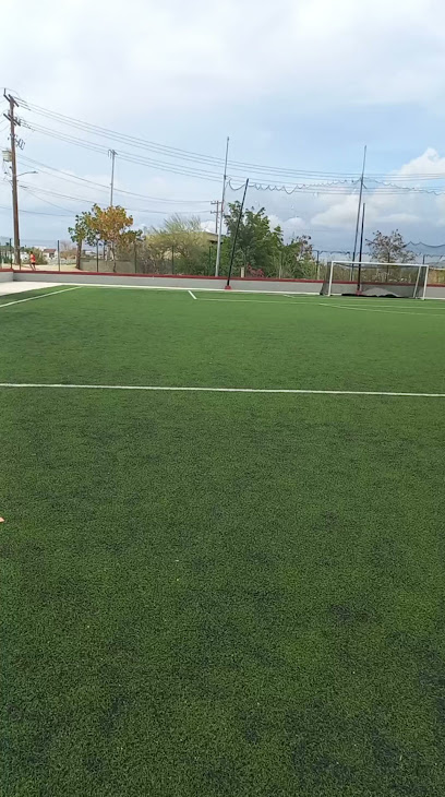 Academia Tiburones Negros SAN JOSE DEL CABO Club Escuela de Fútbol