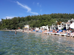 Φωτογραφία του Ftapodi beach υποστηρίζεται από βράχους